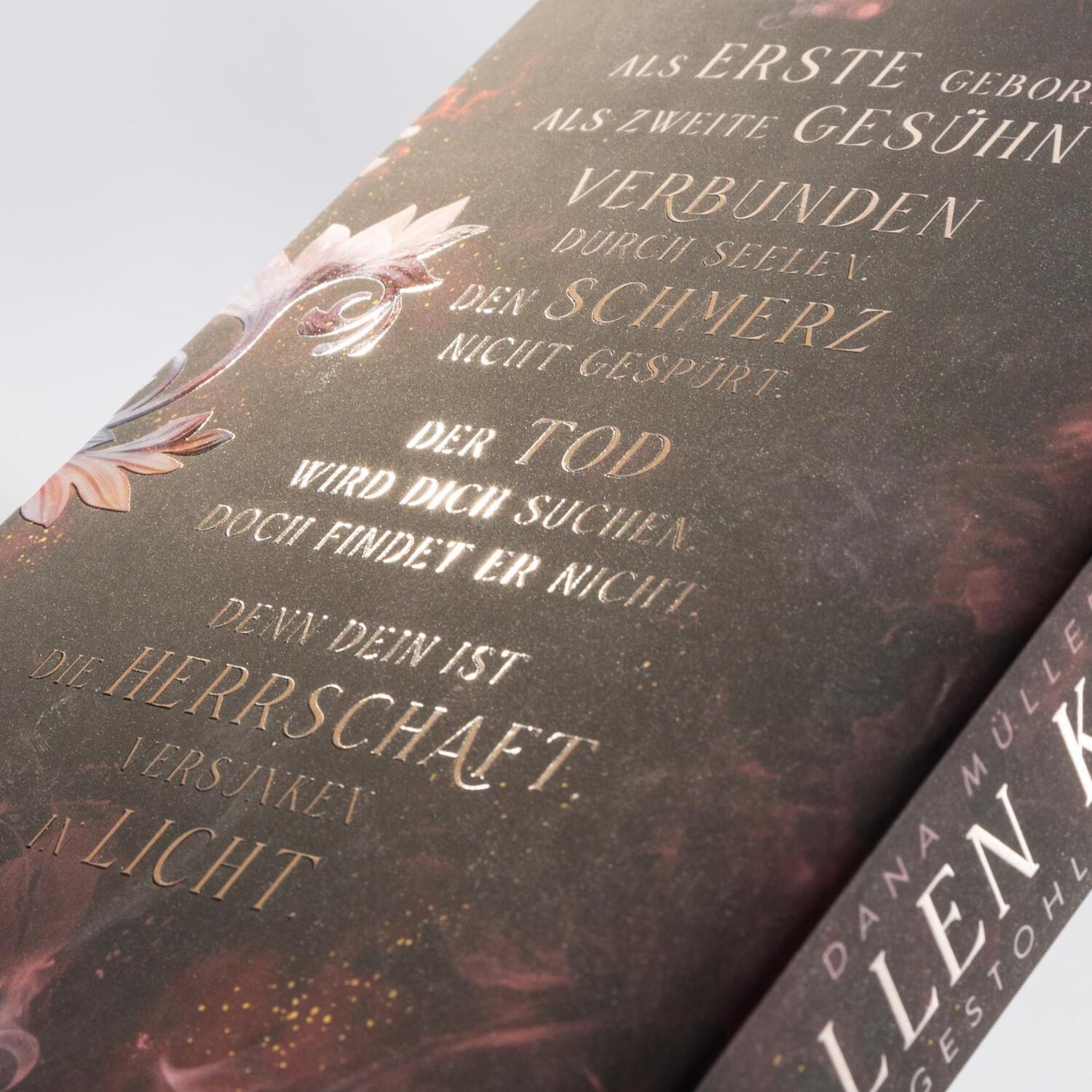 Bild: 9783551584953 | Fallen Kingdom 1: Gestohlenes Erbe | Dana Müller-Braun | Taschenbuch