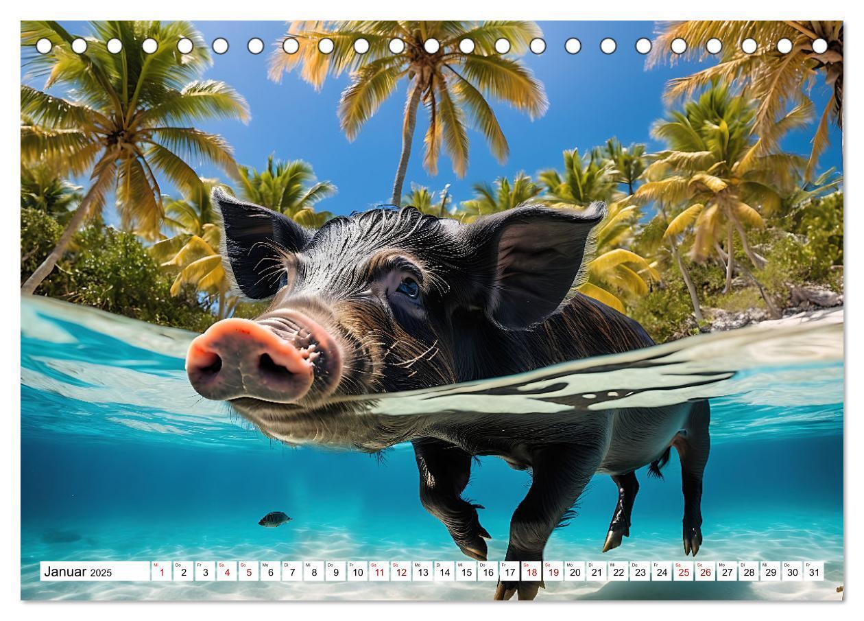 Bild: 9783383835292 | Schwimmende Schweine im Paradies (Tischkalender 2025 DIN A5 quer),...