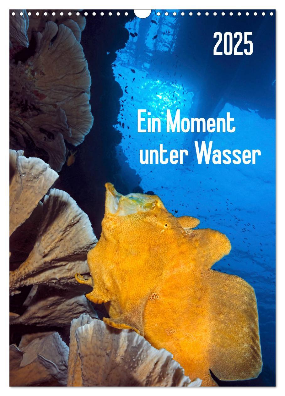 Cover: 9783457066713 | Ein Moment unter Wasser (Wandkalender 2025 DIN A3 hoch), CALVENDO...