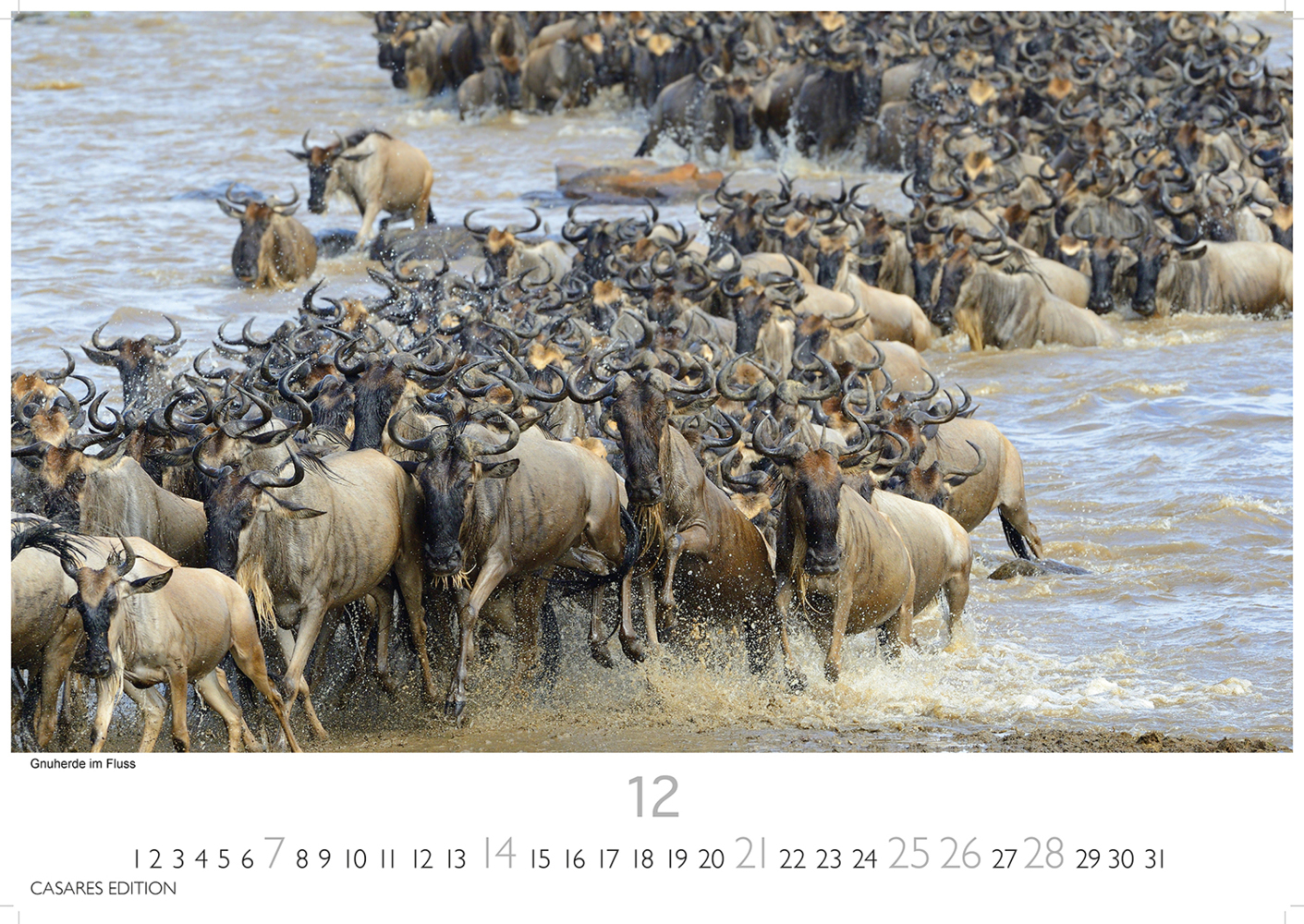 Bild: 9781835240618 | Kenia/Serengeti 2025 S 24x35 cm | Kalender | 14 S. | Deutsch | 2025