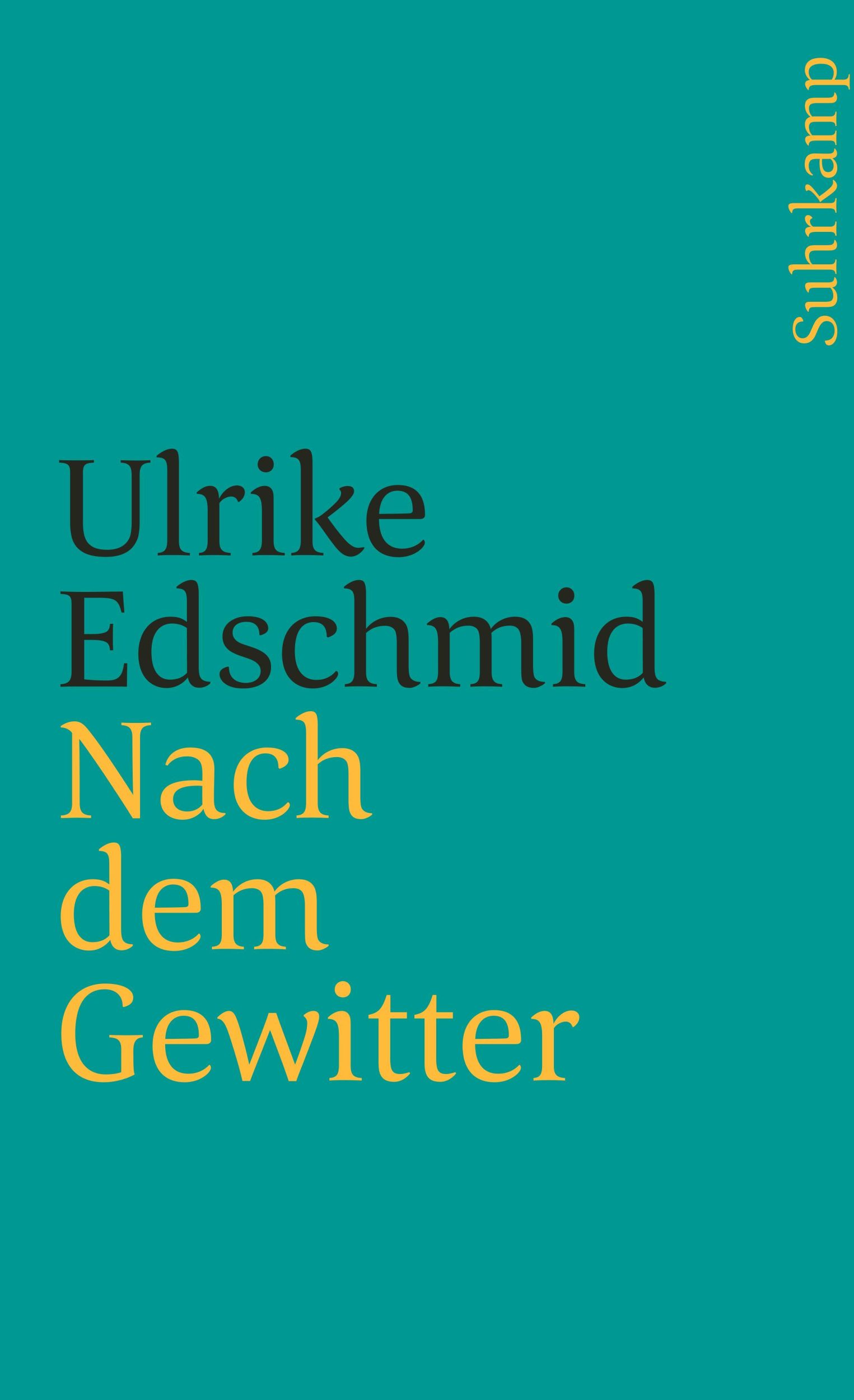 Cover: 9783518399811 | Nach dem Gewitter | Ulrike Edschmid | Taschenbuch | 125 S. | Deutsch