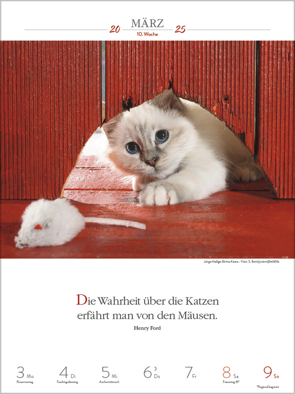 Bild: 9783731877226 | Literaturkalender Katzen 2025 | Korsch Verlag | Kalender | 54 S.