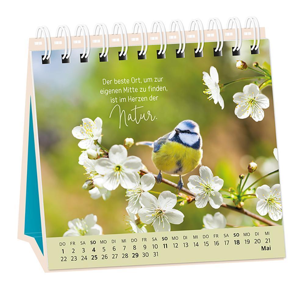 Bild: 9783986360962 | Tischkalender 2025 Extraportion Glück | Tischkalender | Original