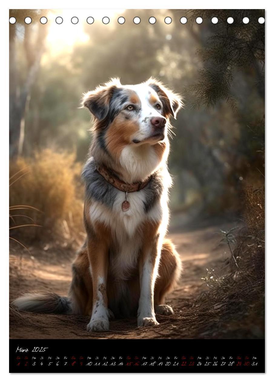 Bild: 9783435877249 | Australian Shepherd (Tischkalender 2025 DIN A5 hoch), CALVENDO...