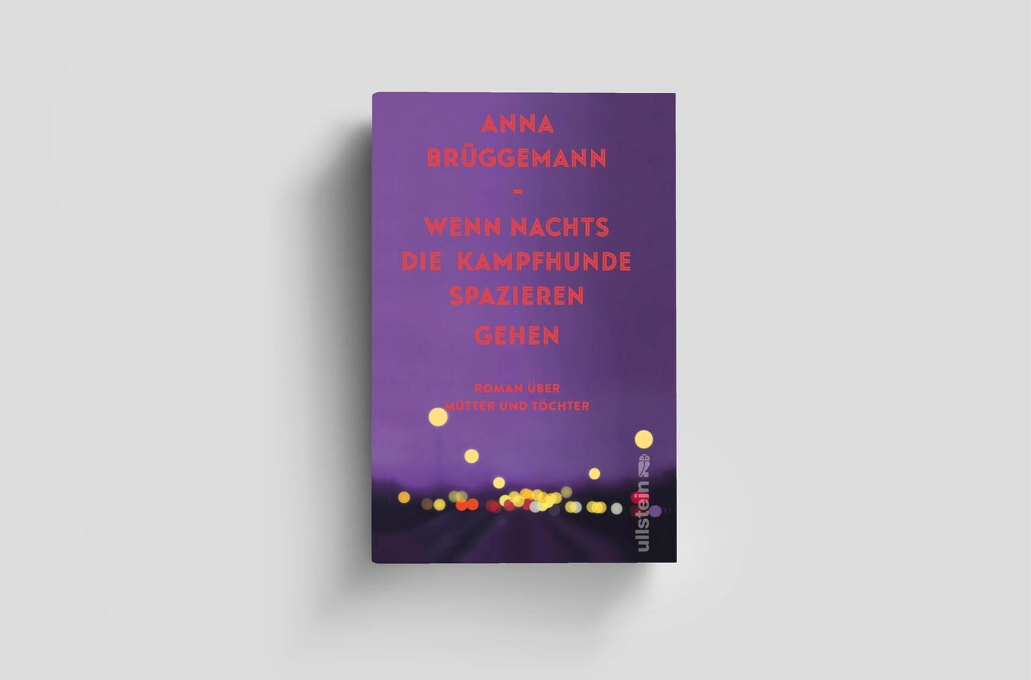 Bild: 9783550202216 | Wenn nachts die Kampfhunde spazieren gehen | Anna Brüggemann | Buch