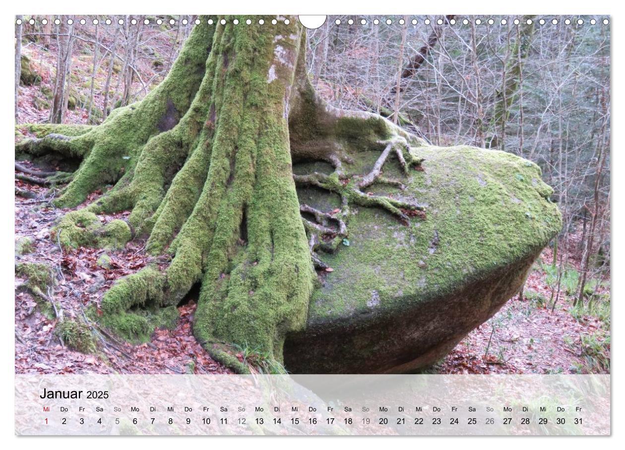 Bild: 9783435462674 | Bretagne - Wildnis Finistère (Wandkalender 2025 DIN A3 quer),...