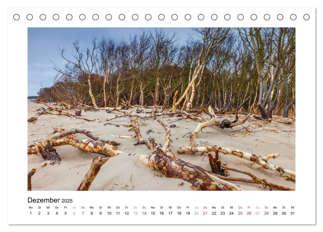 Bild: 9783435673506 | Ostsee - Spaziergang am Meer (Tischkalender 2025 DIN A5 quer),...