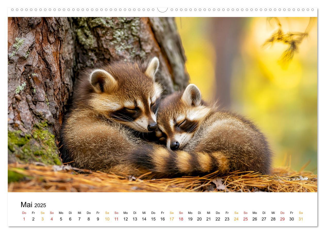 Bild: 9783457233672 | Wenn Tierchen träumen (Wandkalender 2025 DIN A2 quer), CALVENDO...