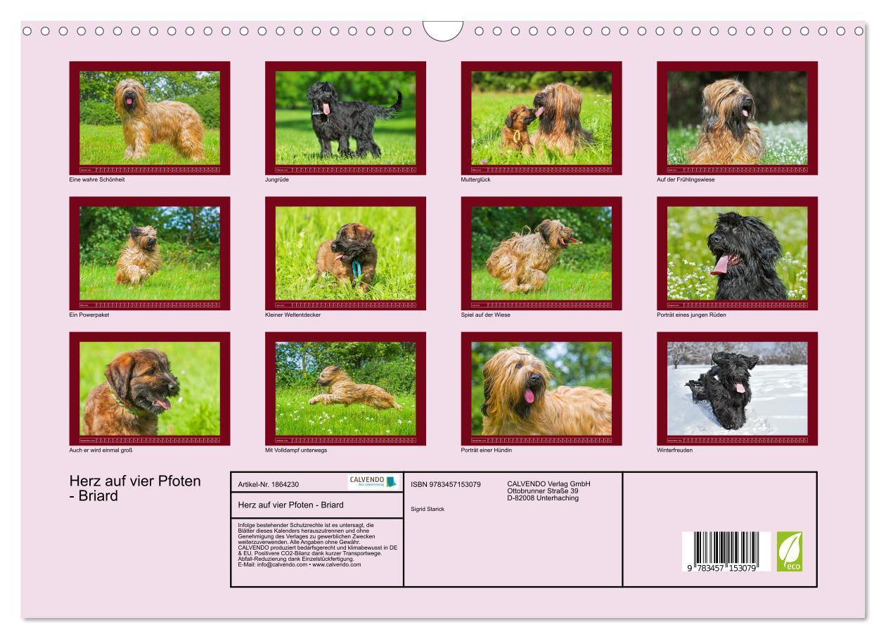 Bild: 9783457153079 | Herz auf vier Pfoten - Briard (Wandkalender 2025 DIN A3 quer),...