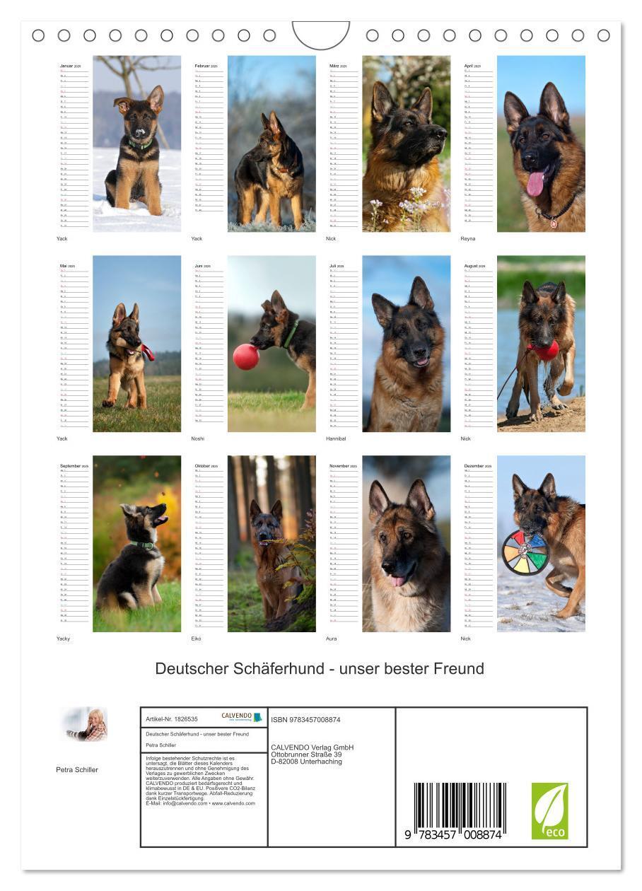 Bild: 9783457008874 | Deutscher Schäferhund - unser bester Freund (Wandkalender 2025 DIN...