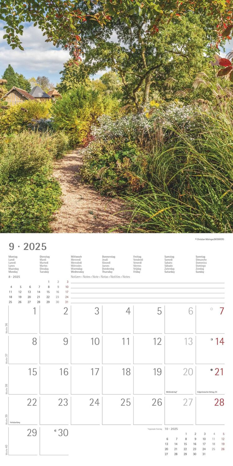 Bild: 4251732340629 | Gartenzauber 2025 - Broschürenkalender 30x30 cm (30x60 geöffnet) -...