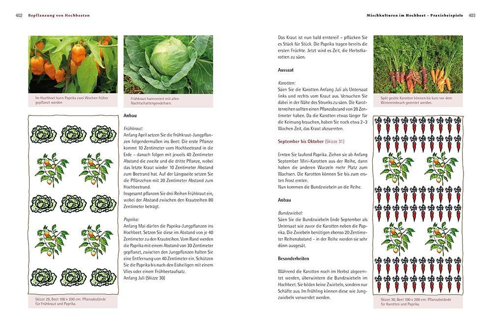 Bild: 9783706626132 | Biogärten gestalten | Doris Kampas | Buch | 440 S. | Deutsch | 2017