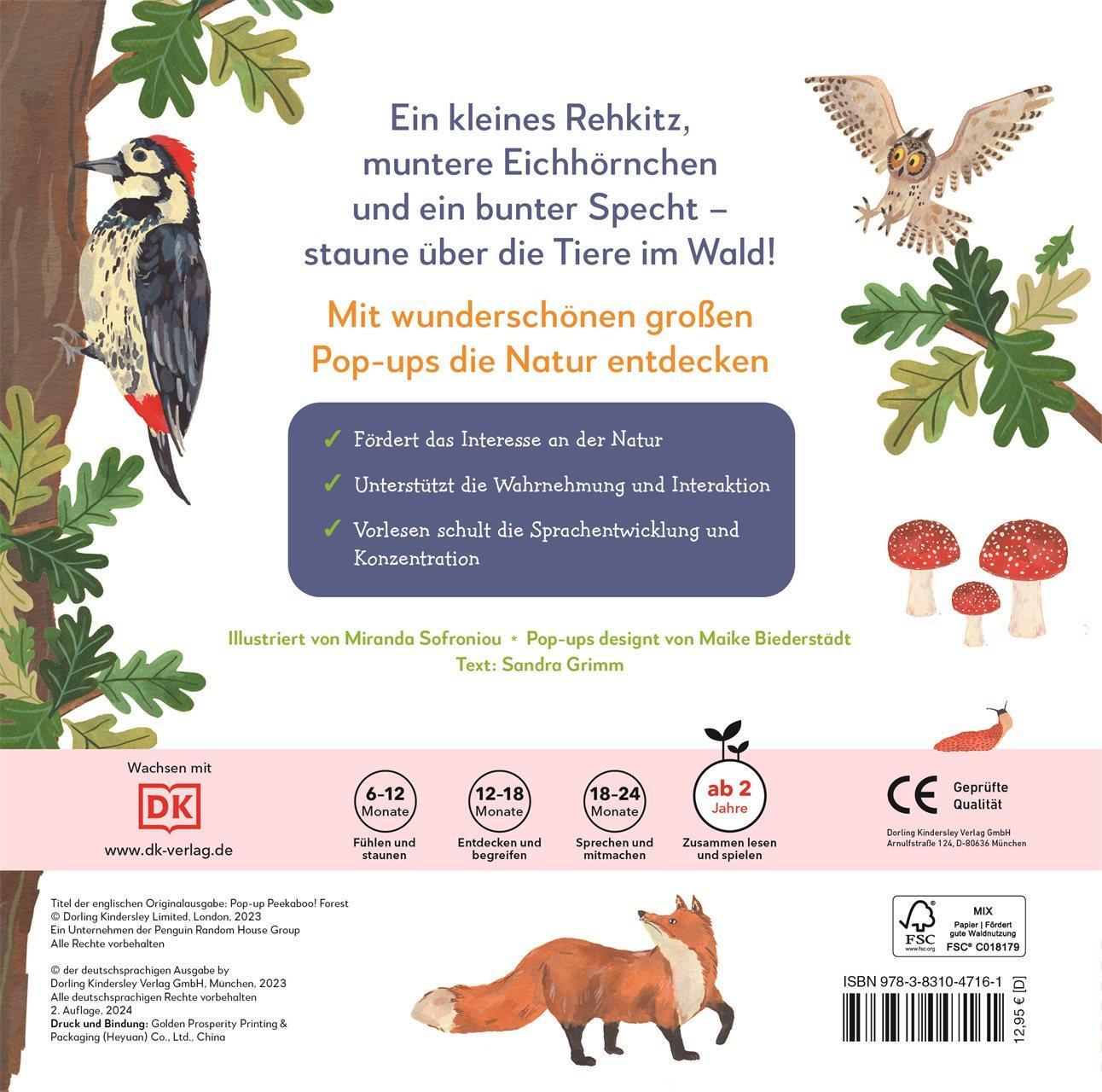 Cover: 9783831047161 | Mein Pop-up-Buch zum Staunen. Wer lebt im Wald? | Sandra Grimm | Buch