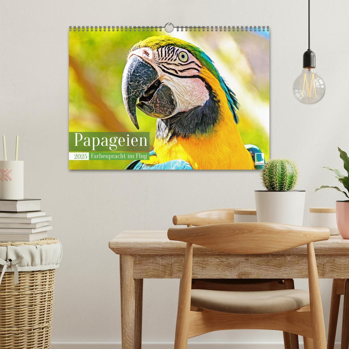 Bild: 9783383777998 | Papageien: Farbenpracht im Flug (Wandkalender 2025 DIN A3 quer),...