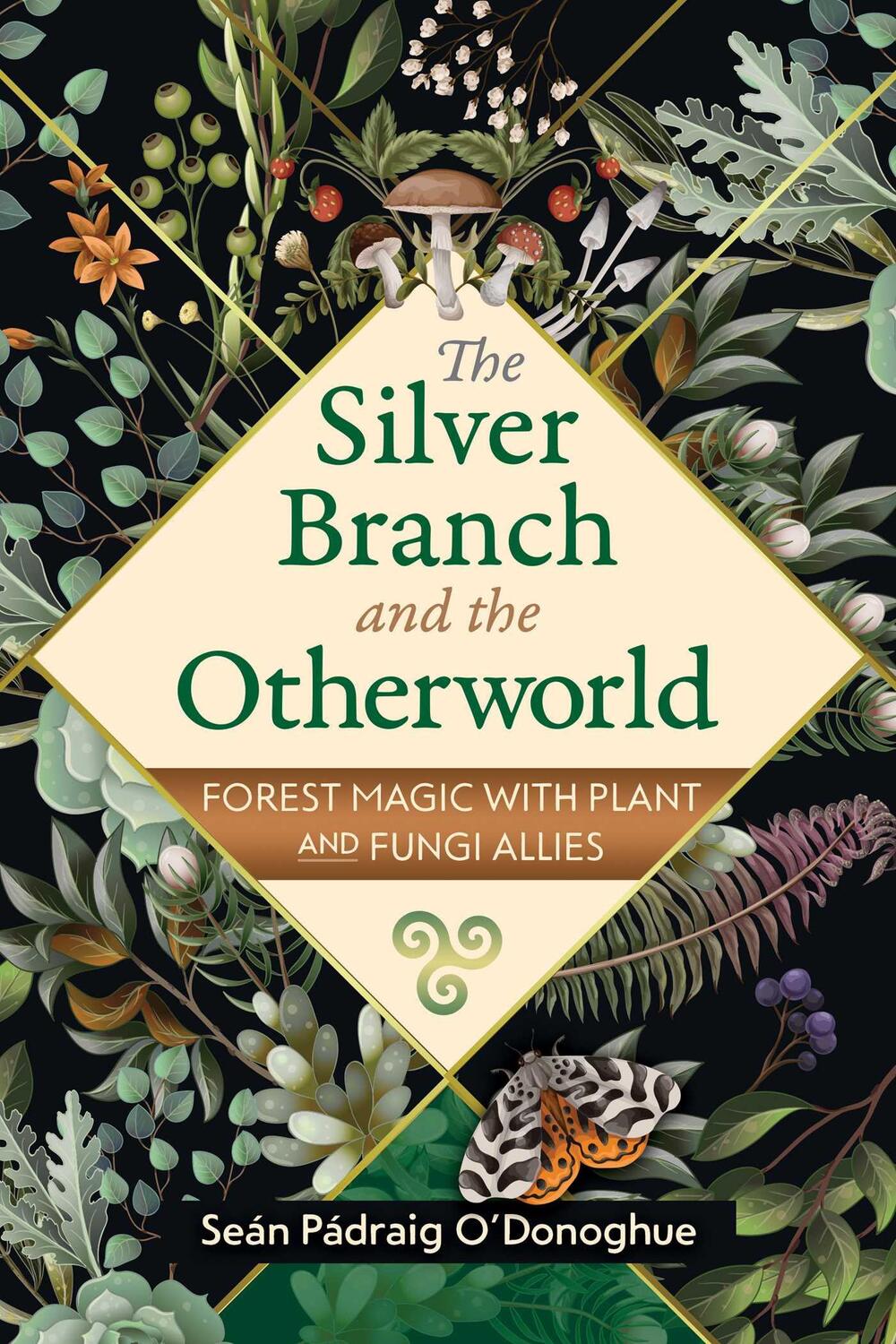 Cover: 9781591434726 | The Silver Branch and the Otherworld | Sean Padraig O'Donoghue | Buch