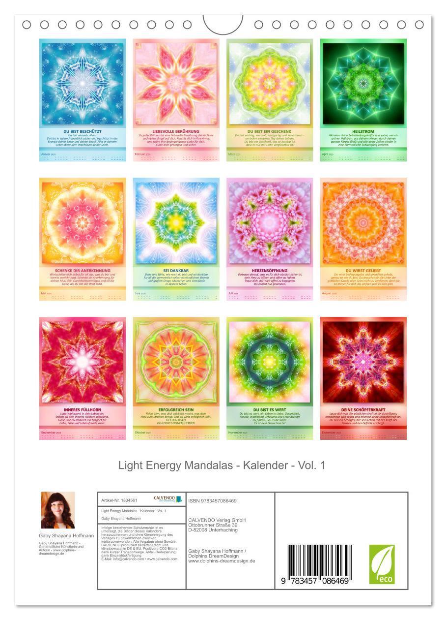 Bild: 9783457086469 | Light Energy Mandalas - Kalender - Vol. 1 (Wandkalender 2025 DIN A4...