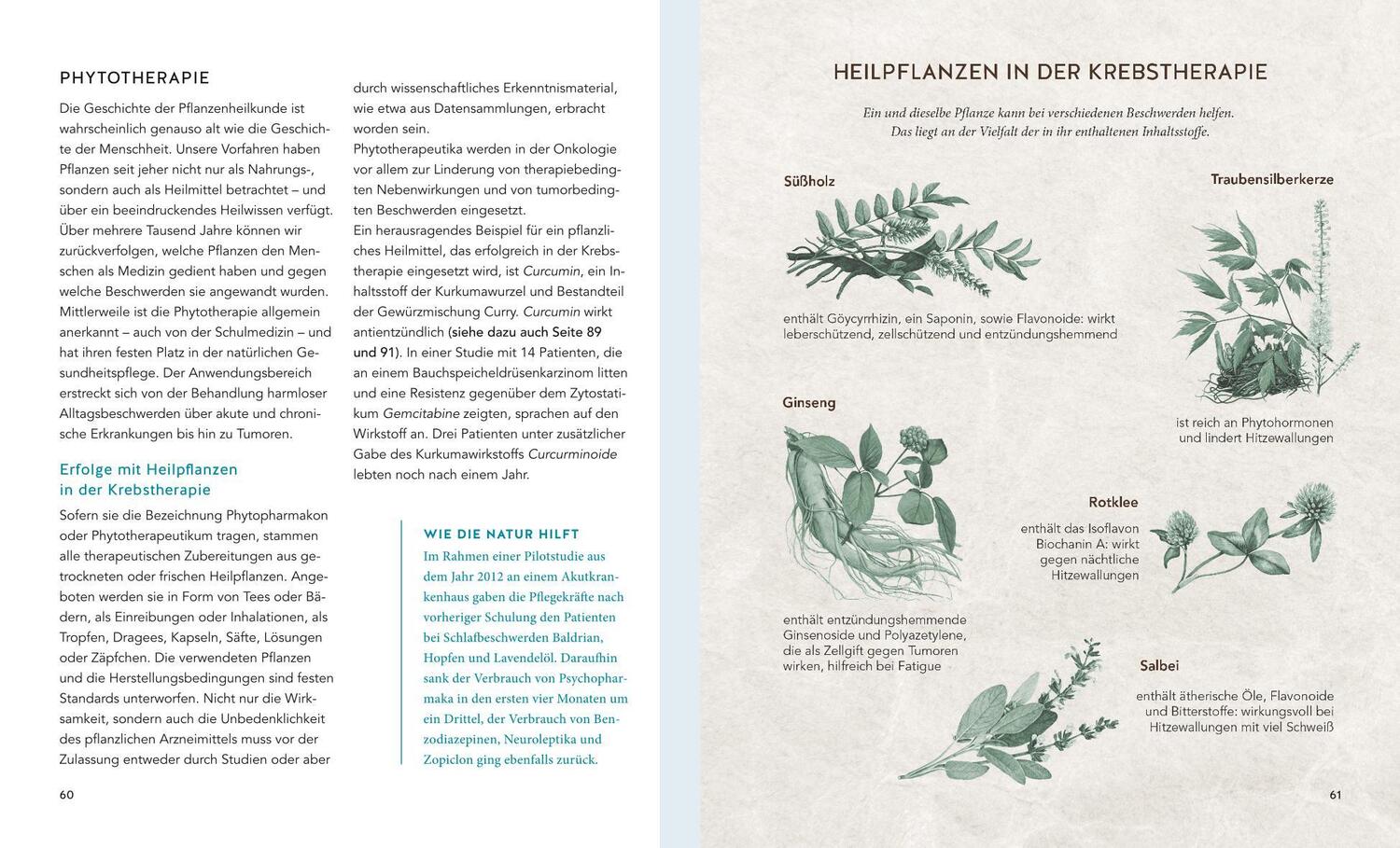 Bild: 9783833862243 | Beschwerdefrei durch die Krebstherapie | Daniela Paepke (u. a.) | Buch