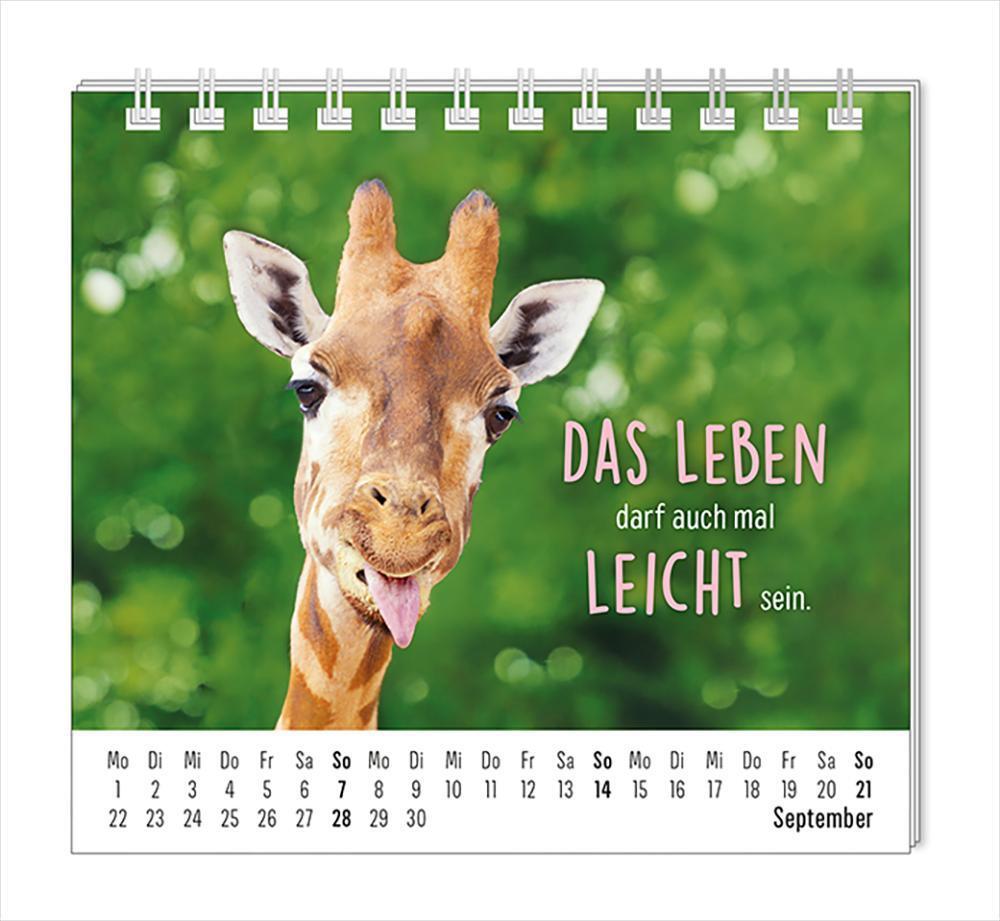 Bild: 9783986361099 | Mini-Kalender 2025 Happymacher | Mini-Kalender | Original | Kalender