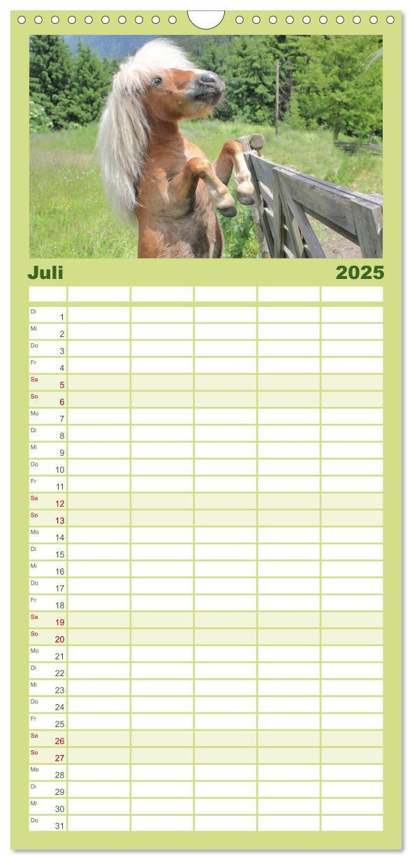 Bild: 9783457107294 | Familienplaner 2025 - Alpenpferde mit 5 Spalten (Wandkalender, 21 x...