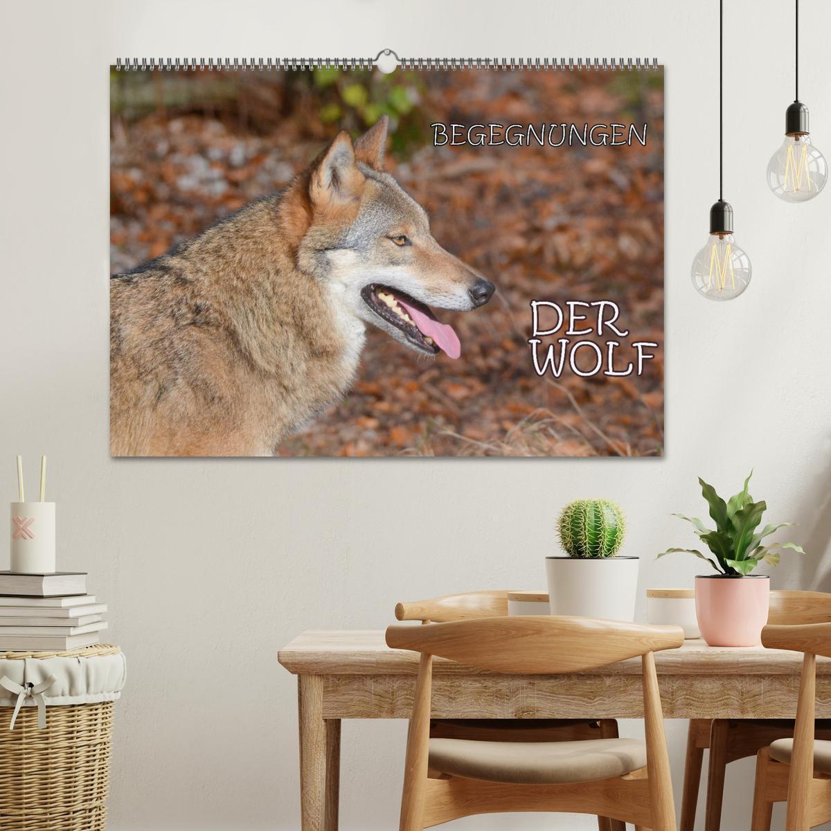 Bild: 9783435392995 | Begegnungen DER WOLF (Wandkalender 2025 DIN A2 quer), CALVENDO...