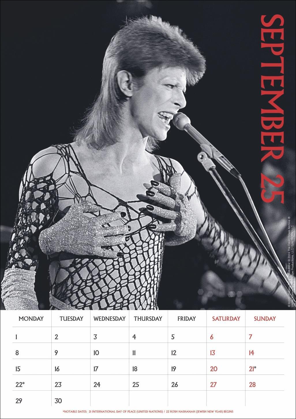 Bild: 9783840196713 | David Bowie Posterkalender 2025 | David Bowie | Kalender | Danilo