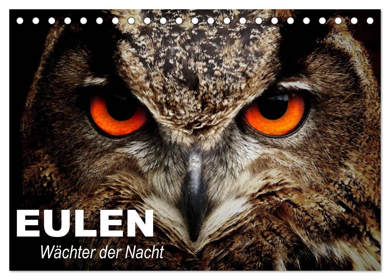 Cover: 9783435684281 | Eulen. Wächter der Nacht (Tischkalender 2025 DIN A5 quer), CALVENDO...