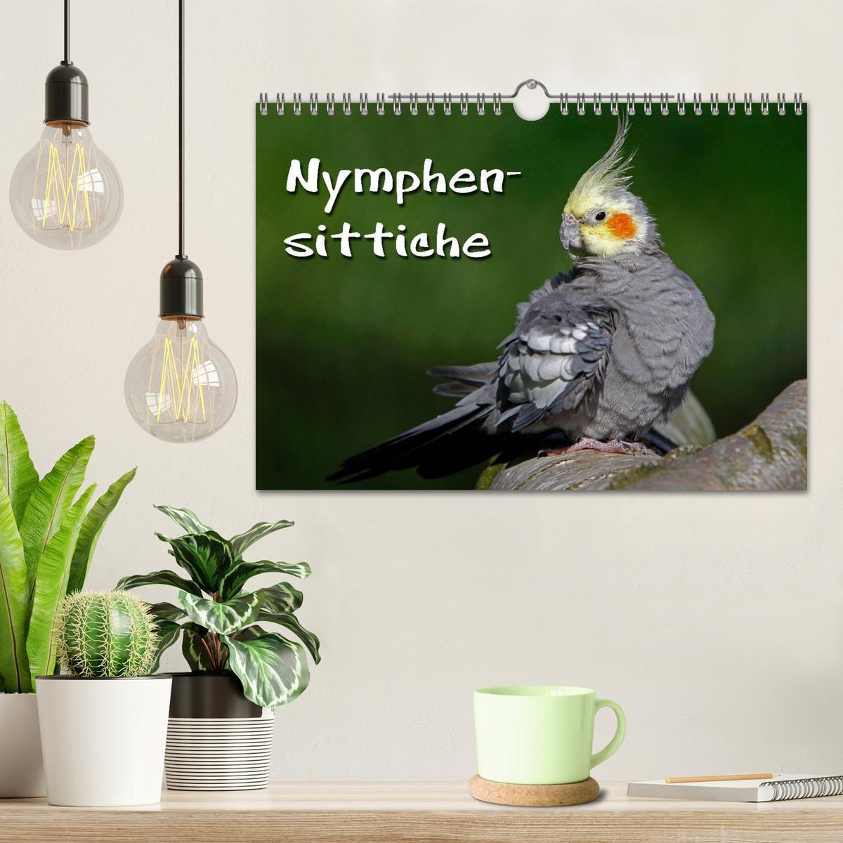 Bild: 9783435775651 | Nymphensittiche (Wandkalender 2025 DIN A4 quer), CALVENDO...