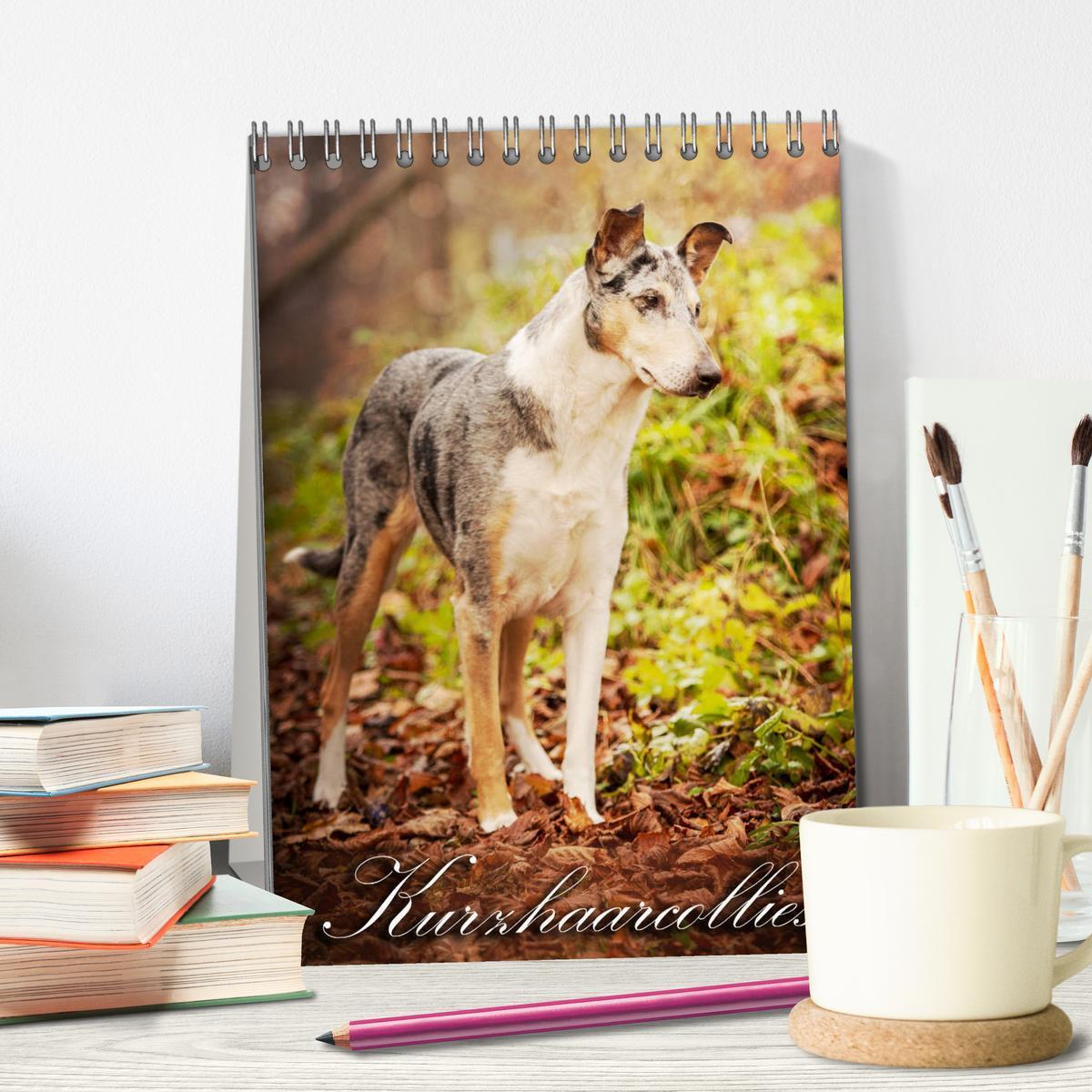 Bild: 9783457051276 | Kurzhaarcollies (Tischkalender 2025 DIN A5 hoch), CALVENDO...