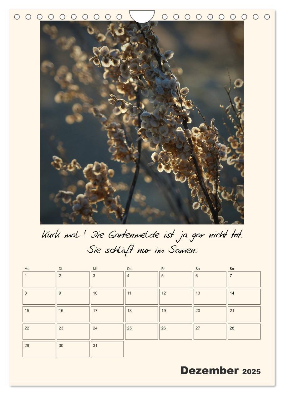 Bild: 9783435999583 | Gartengeschichten (Wandkalender 2025 DIN A4 hoch), CALVENDO...