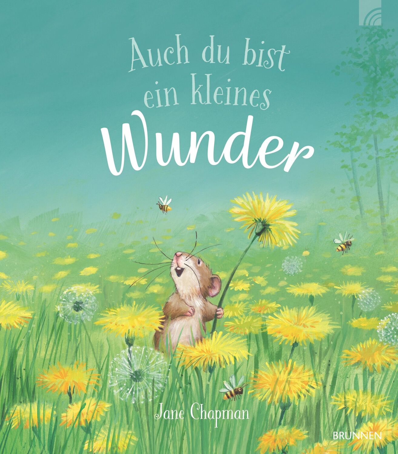 Cover: 9783765559846 | Auch du bist ein kleines Wunder | Jane Chapman | Buch | 32 S. | 2024