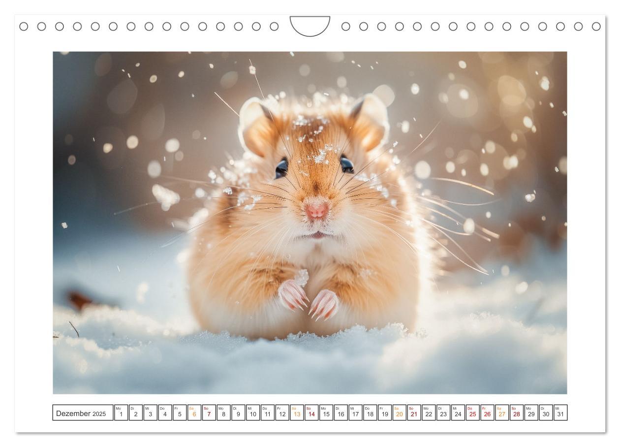 Bild: 9783435069958 | Lustige Hamster (Wandkalender 2025 DIN A4 quer), CALVENDO...