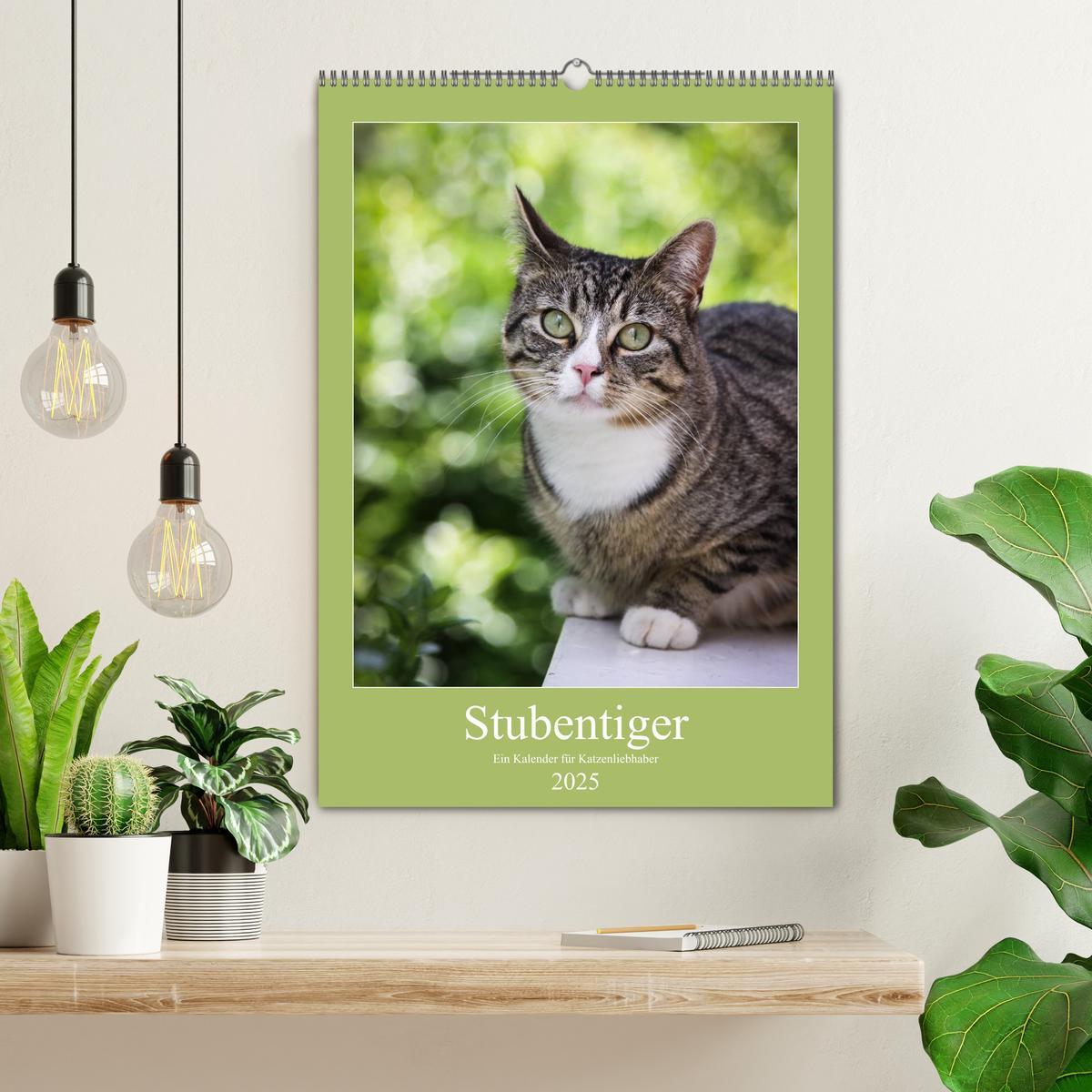 Bild: 9783457069400 | Stubentiger (Wandkalender 2025 DIN A2 hoch), CALVENDO Monatskalender