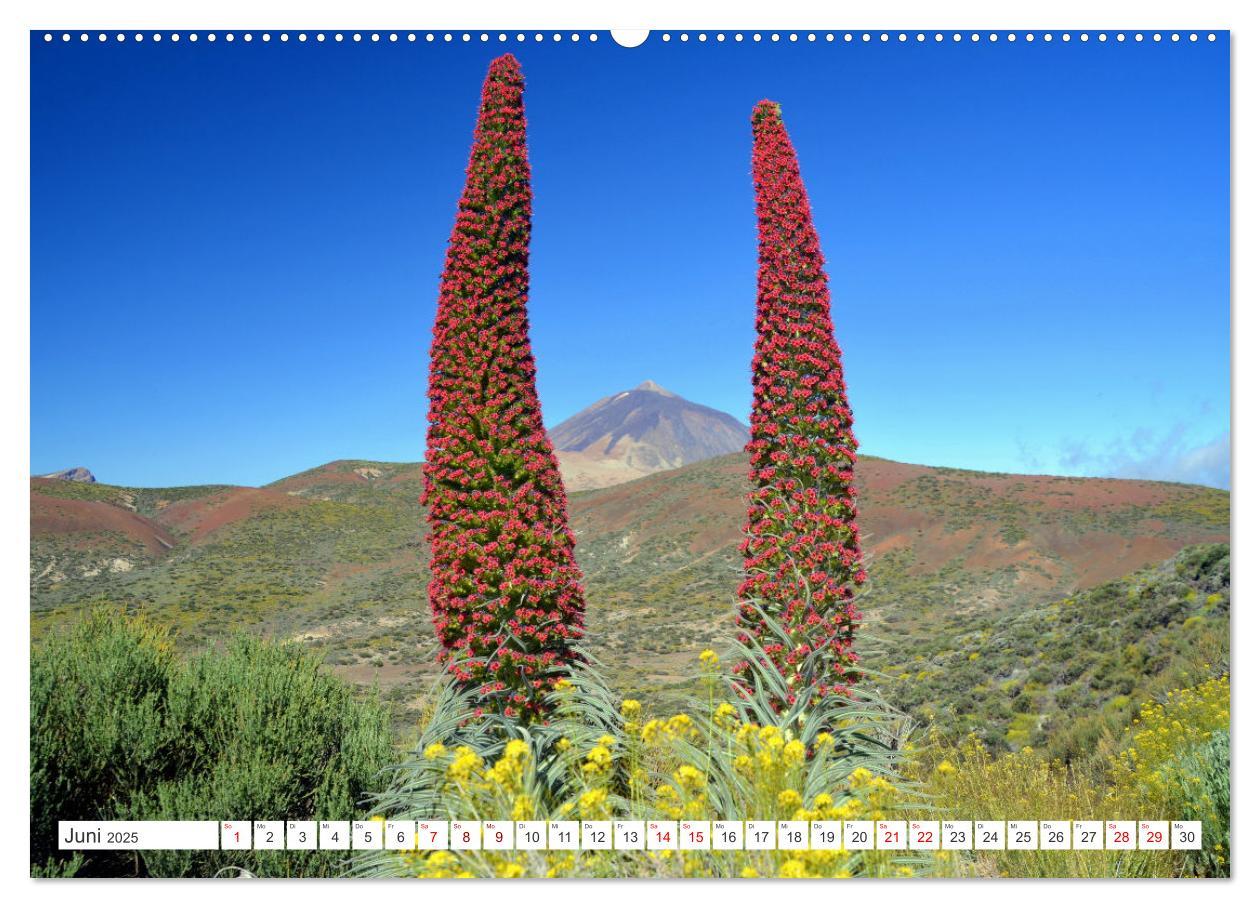 Bild: 9783457222560 | Teneriffa - Insel der Glückseligen (Wandkalender 2025 DIN A2 quer),...