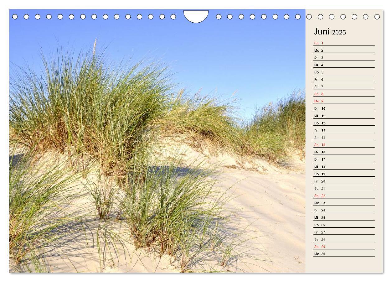 Bild: 9783435549641 | Die Ostsee (Wandkalender 2025 DIN A4 quer), CALVENDO Monatskalender