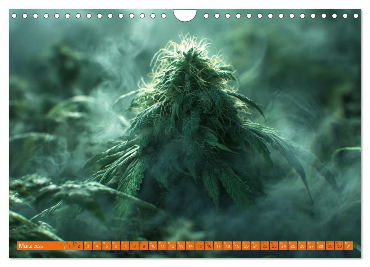 Bild: 9783383764653 | High Moments - Ein Jahr im Zeichen von Cannabis (Wandkalender 2025...