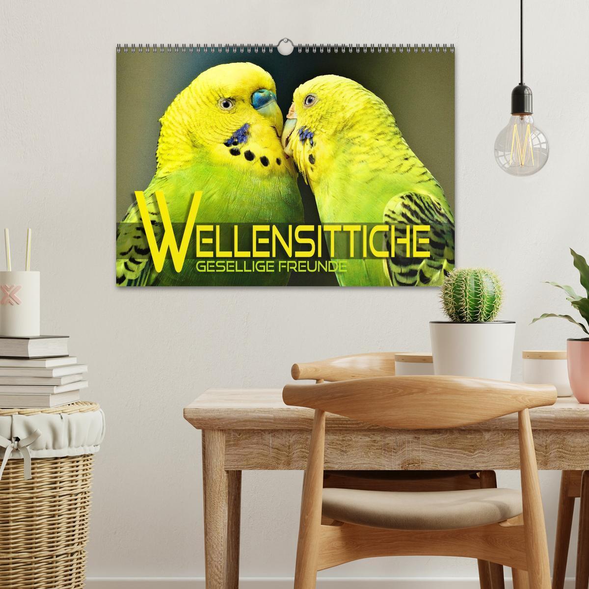 Bild: 9783383993022 | Wellensittiche - gesellige Freunde (Wandkalender 2025 DIN A3 quer),...