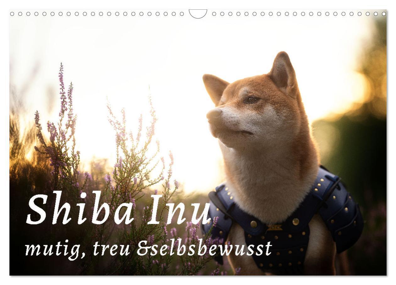 Cover: 9783435051502 | Shiba Inu - mutig, treu, selbstbewusst (Wandkalender 2025 DIN A3...