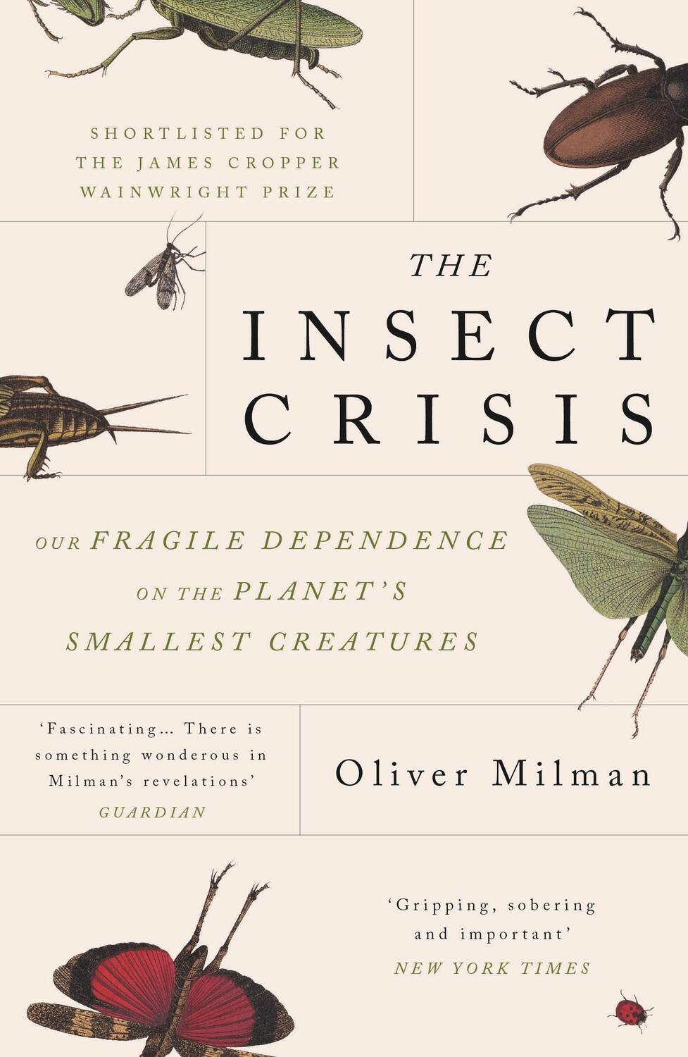 Bild: 9781838951191 | The Insect Crisis | Oliver Milman | Taschenbuch | Englisch | 2023