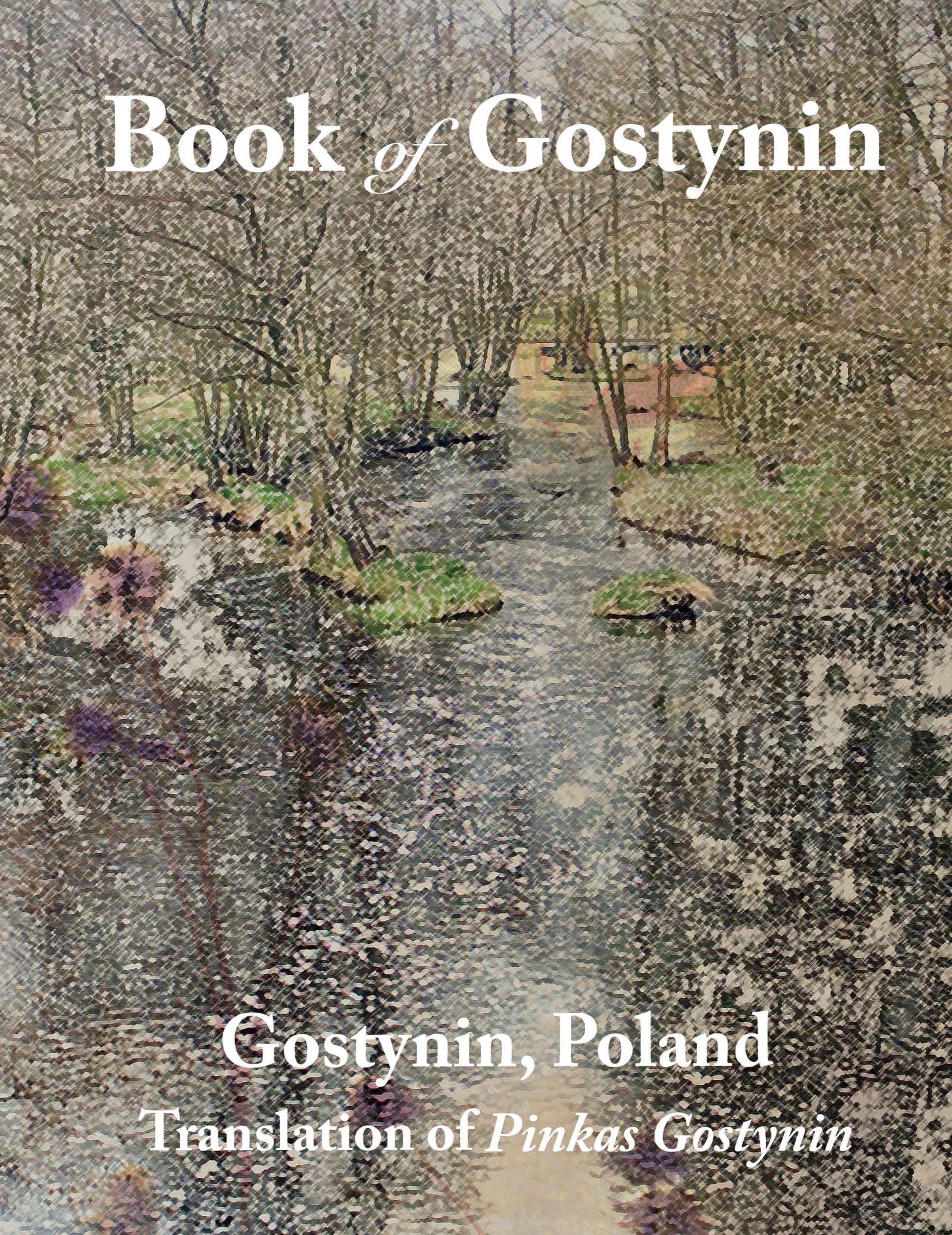 Cover: 9781939561541 | Book of Gostynin, Poland | Translation of Pinkas Gostynin | Biderman