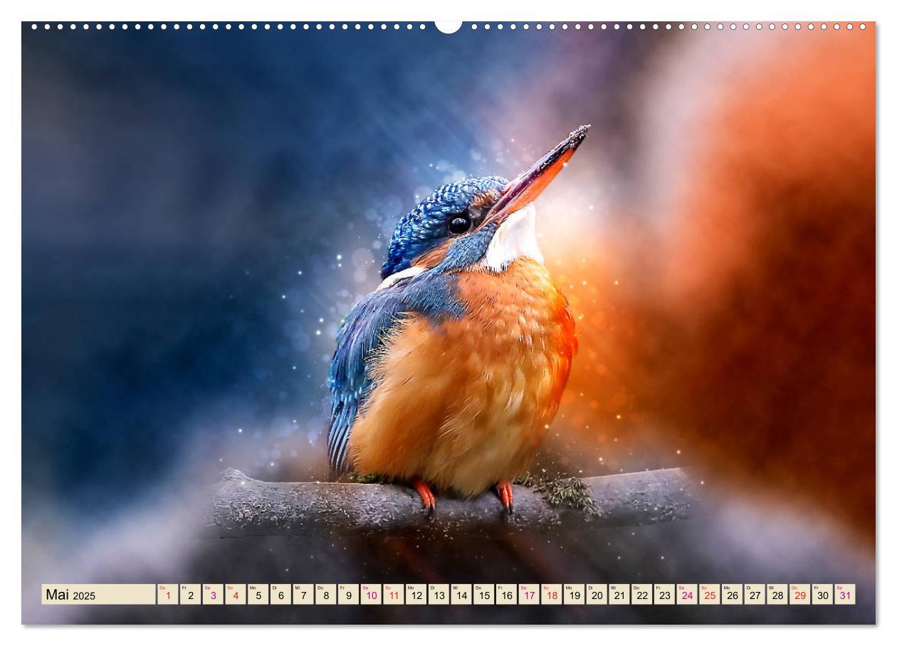 Bild: 9783435333288 | Wunderschöner Eisvogel (Wandkalender 2025 DIN A2 quer), CALVENDO...