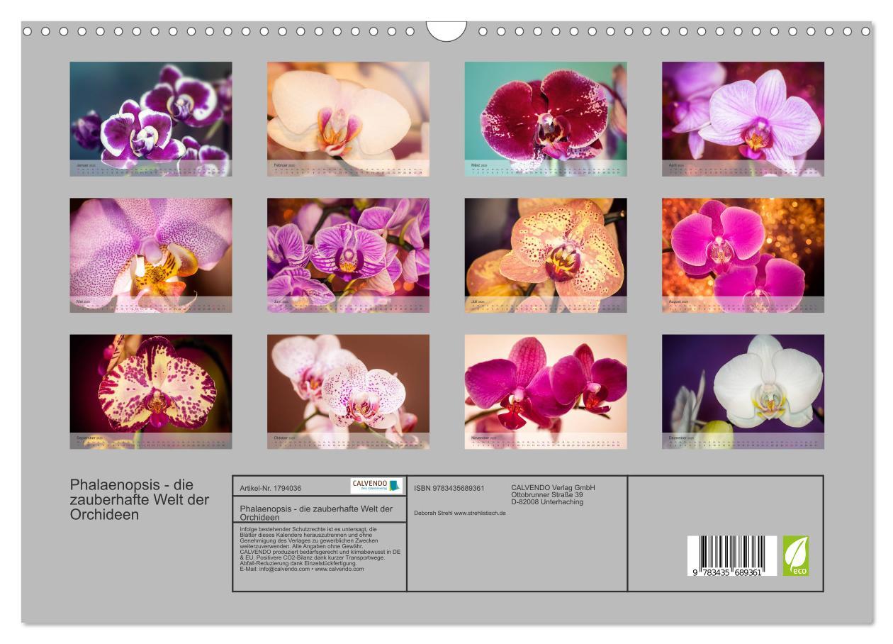 Bild: 9783435689361 | Phalaenopsis - die zauberhafte Welt der Orchideen (Wandkalender...