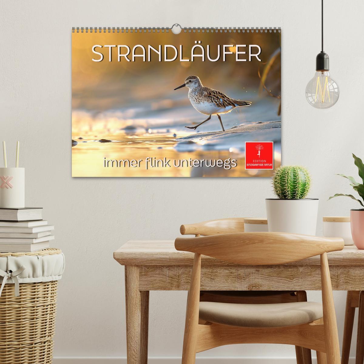 Bild: 9783383768385 | Strandläufer - immer flink unterwegs (Wandkalender 2025 DIN A3...