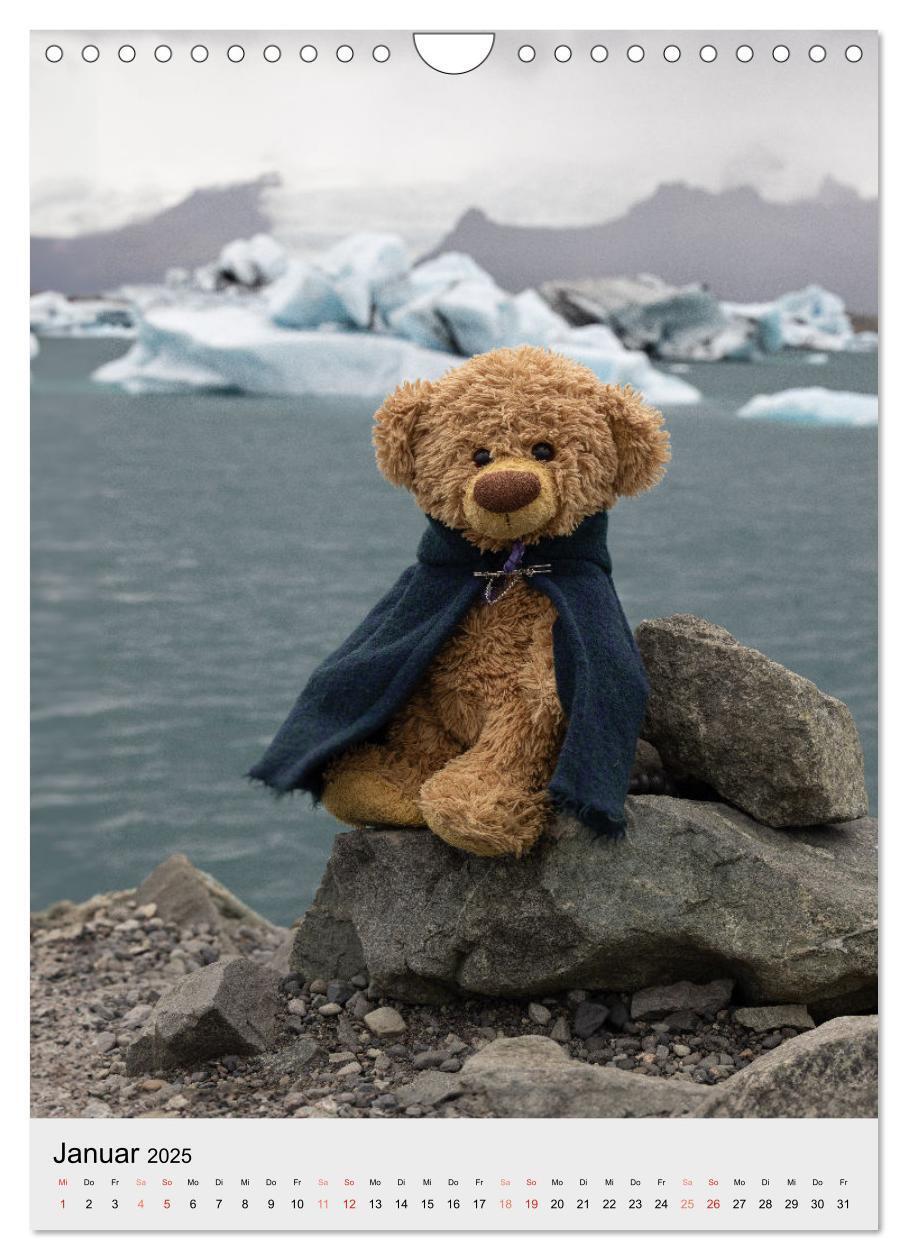 Bild: 9783457136959 | Travelling Teddy in Island (Wandkalender 2025 DIN A4 hoch),...