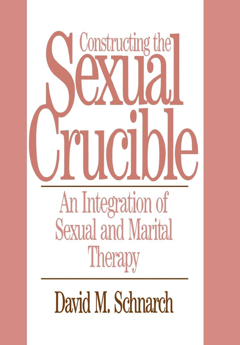 Cover: 9780393701029 | Constructing the Sexual Crucible | David Schnarch | Buch | Englisch