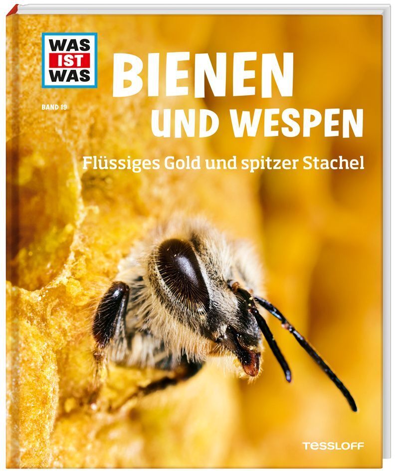 Cover: 9783788620721 | WAS IST WAS Band 19 Bienen und Wespen | Alexandra Rigos | Buch | 2024