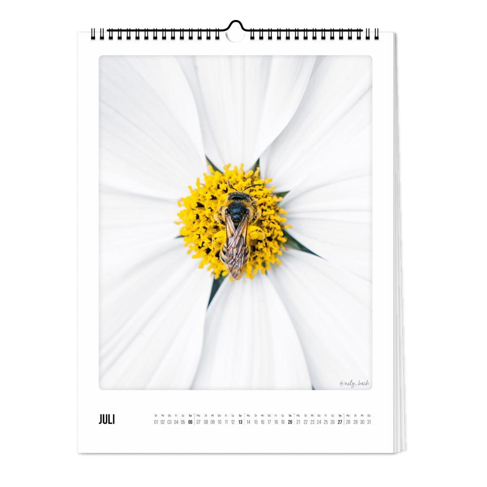 Bild: 4251781179287 | Wandkalender 2025 - Blu¨tenzauber | Pickmotion | Kalender | Deutsch