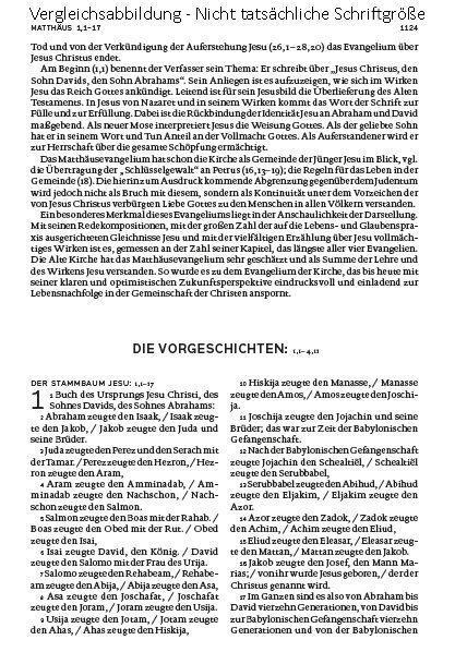 Bild: 9783460440074 | Die Bibel (Schulausgabe, schwarz) | Buch | Deutsch | 2016