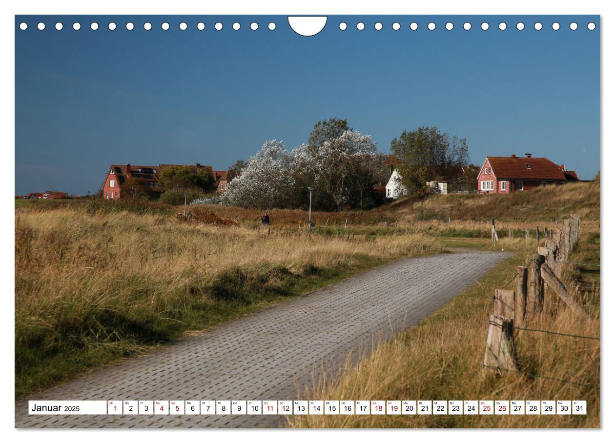 Bild: 9783457233504 | Insel Baltrum, Perle im Ostfriesischen Wattenmeer (Wandkalender...