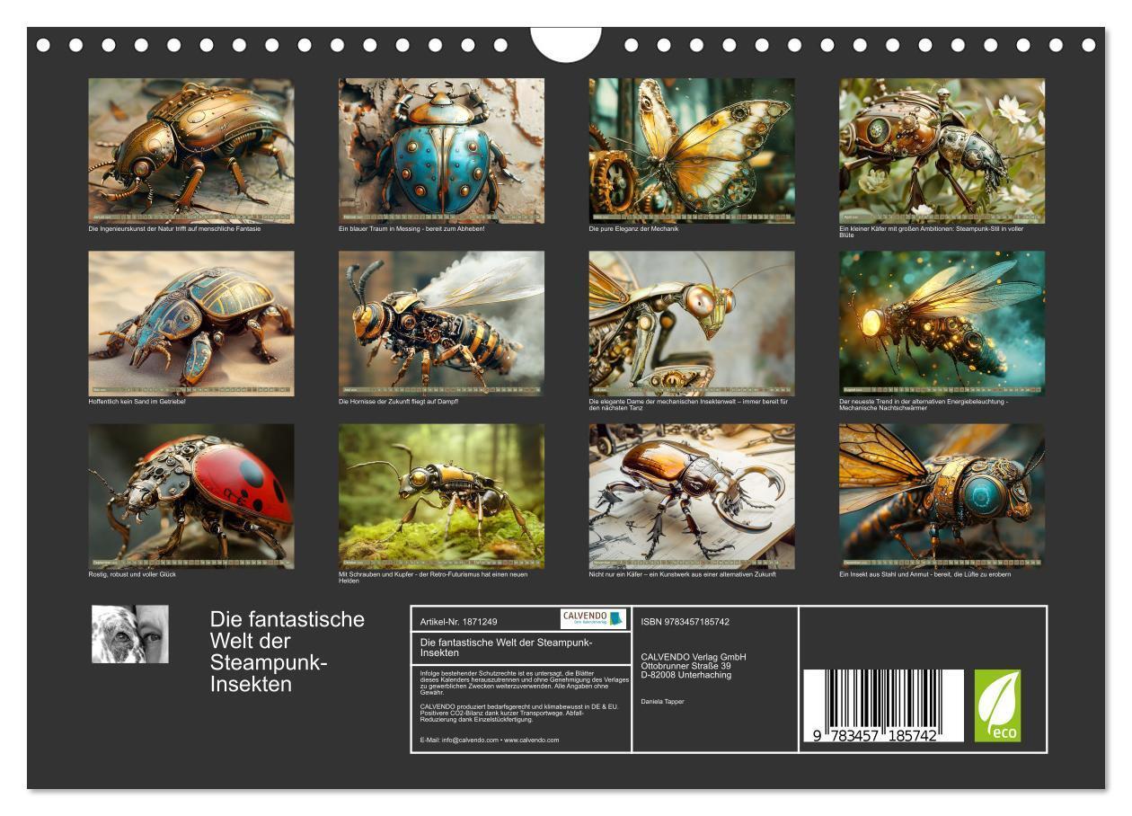 Bild: 9783457185742 | Die fantastische Welt der Steampunk-Insekten (Wandkalender 2025 DIN...