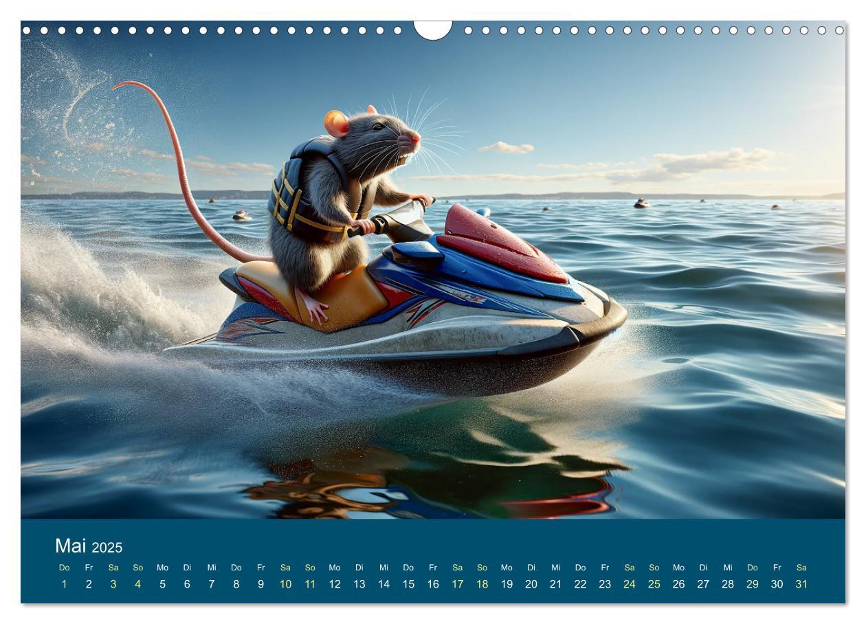 Bild: 9783383768637 | Abenteuerliche Ratten (Wandkalender 2025 DIN A3 quer), CALVENDO...